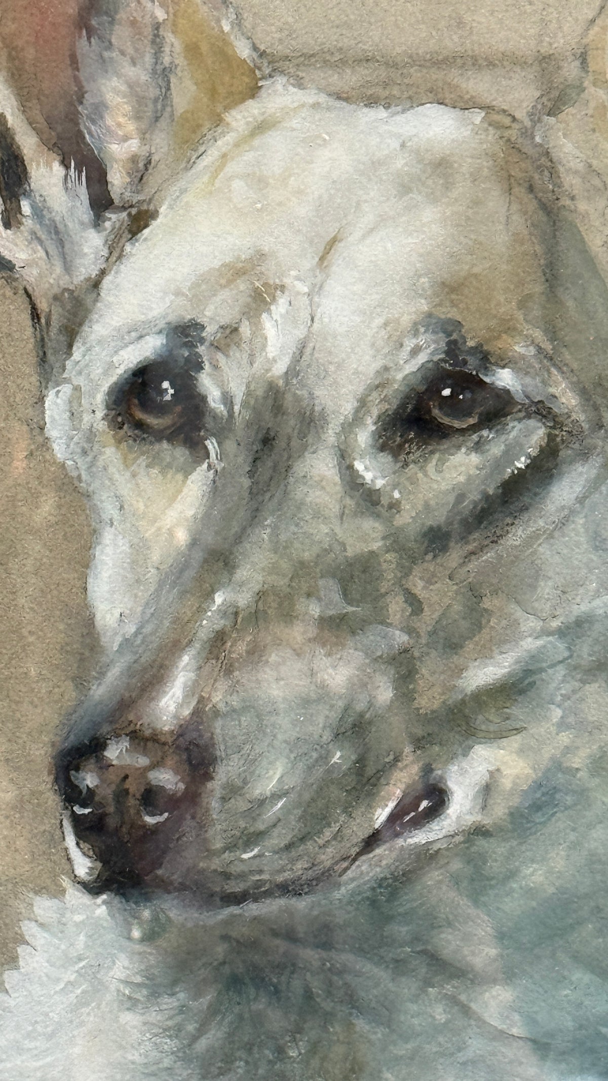 Pastel Drawing of White Dog Circa 1900