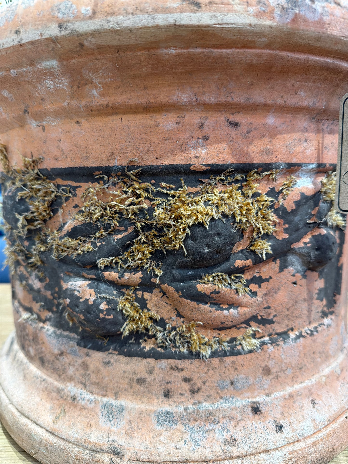 Terracotta Pot With Fruit Design