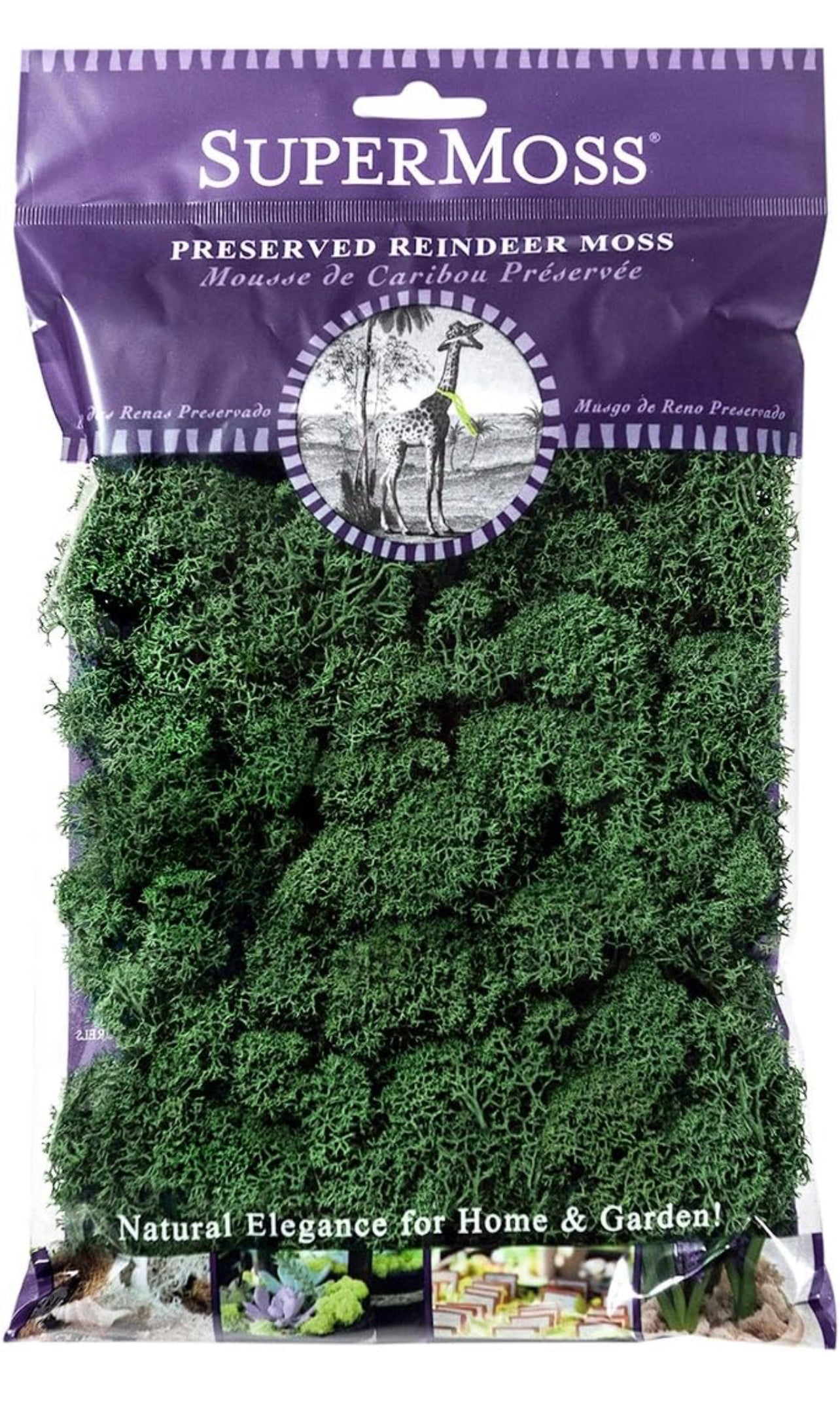 Reindeer Moss Preserved 2 ounces