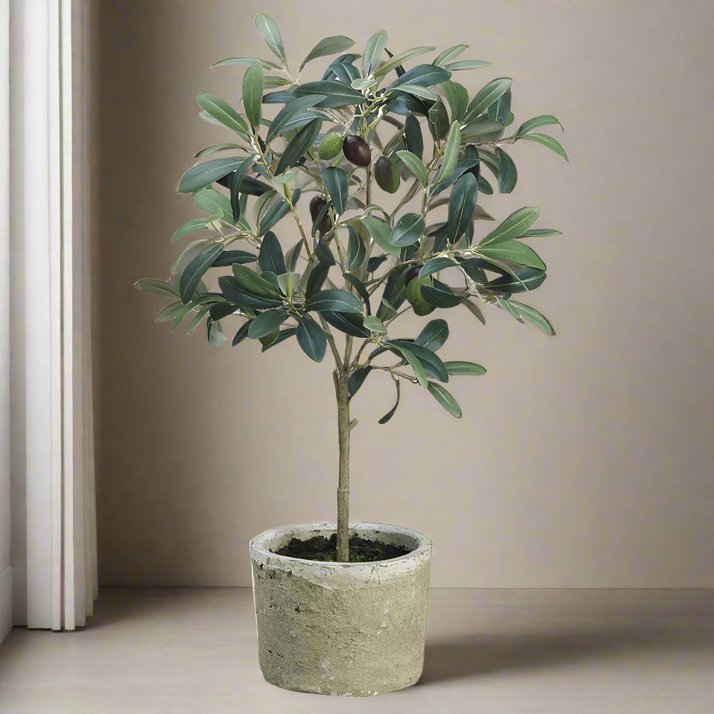 19.5" Faux Olive Tree in Decorative Pot