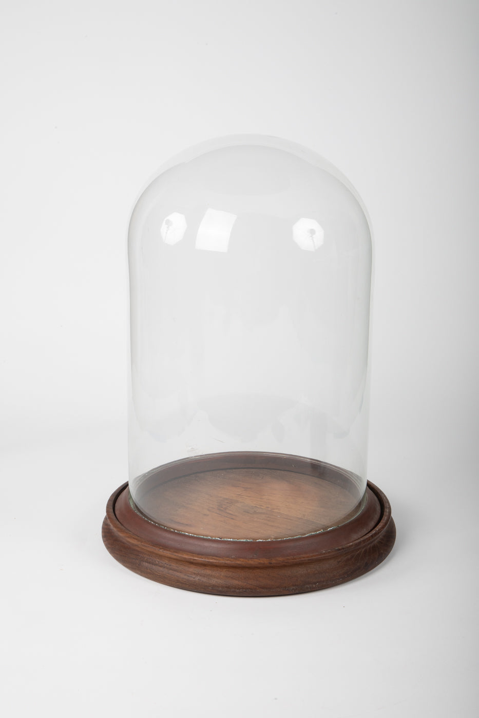 Large Glass Dome with Wooden Base