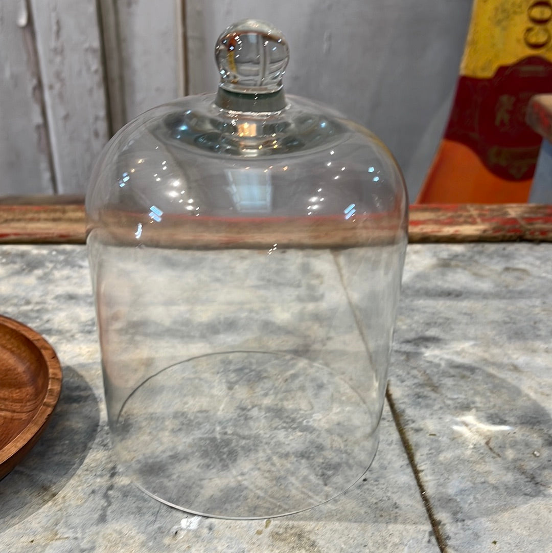 Glass Cloche and Coaster Set