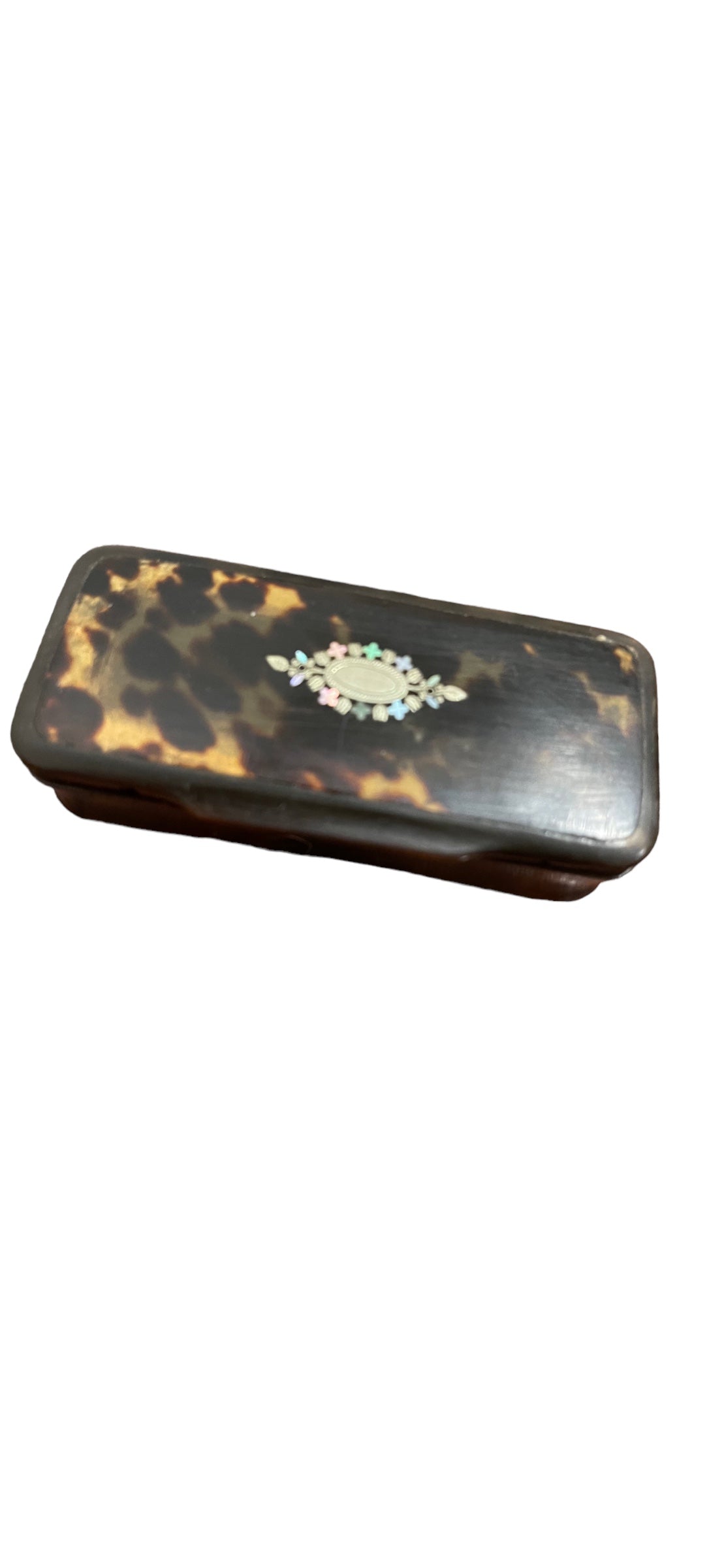 Georgian Tortoise Snuff or Hairpin Box