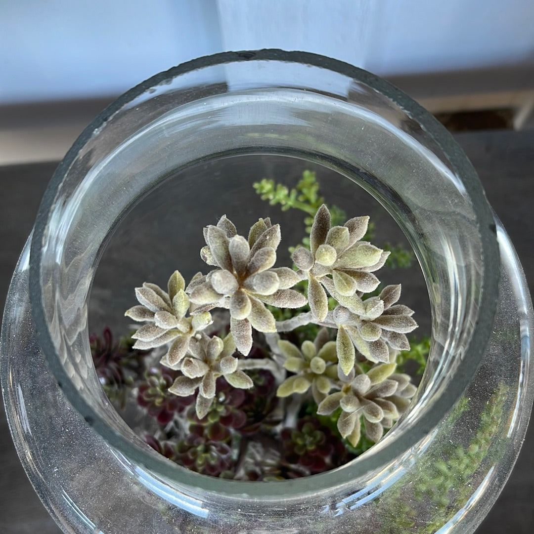 Glass Jars with Flowers - Large - The White Barn Antiques