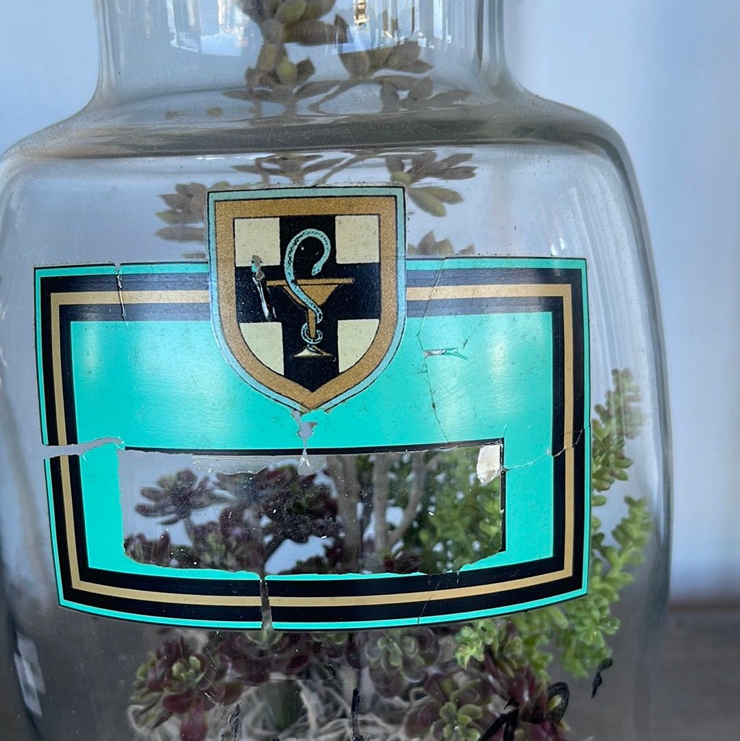 Glass Jars with Flowers - Large - The White Barn Antiques