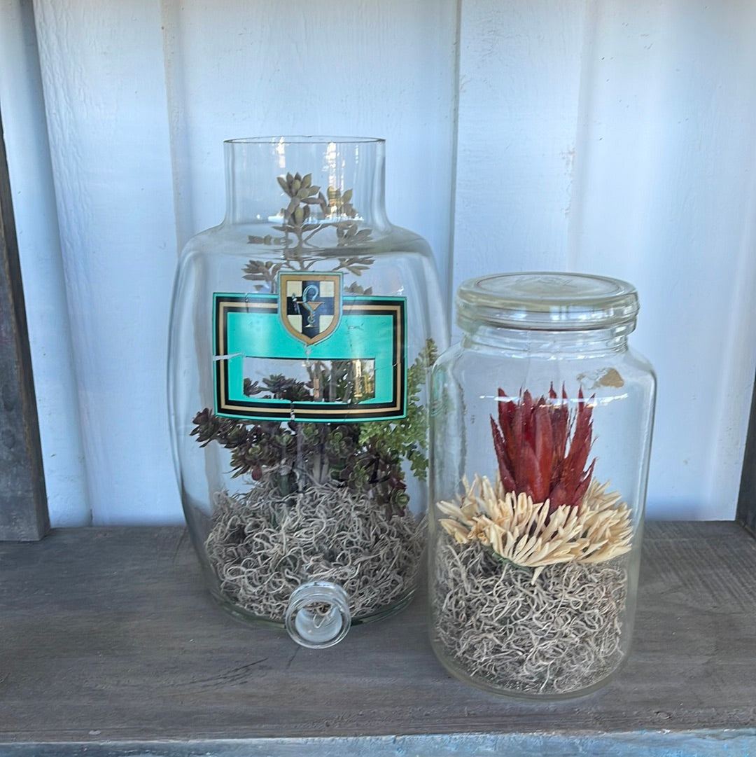 Glass Jars with Flowers - Large - The White Barn Antiques