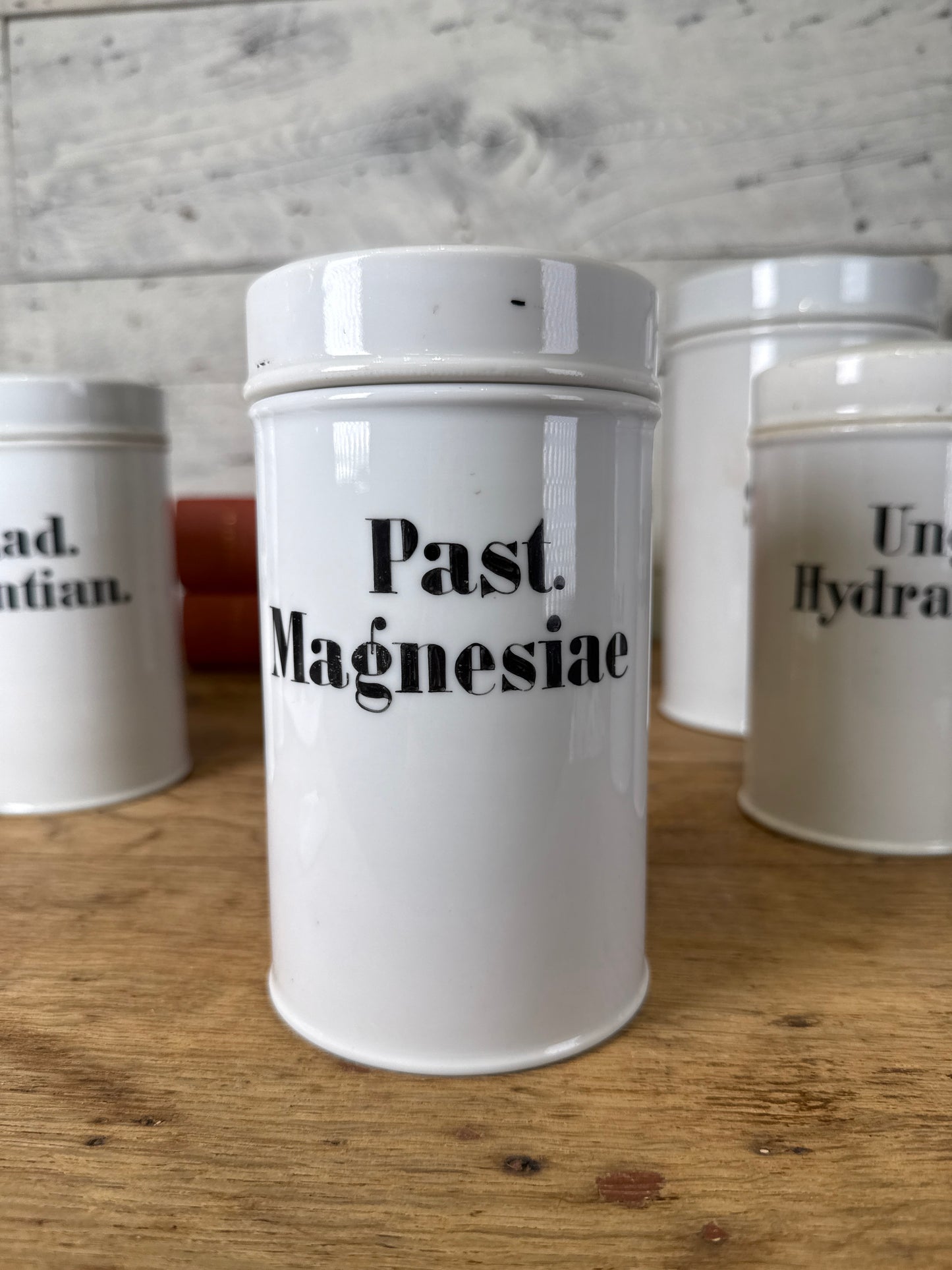 Late 19th to Early 20th Century Continental European Porcelain Apothecary Jars, Set of Ten