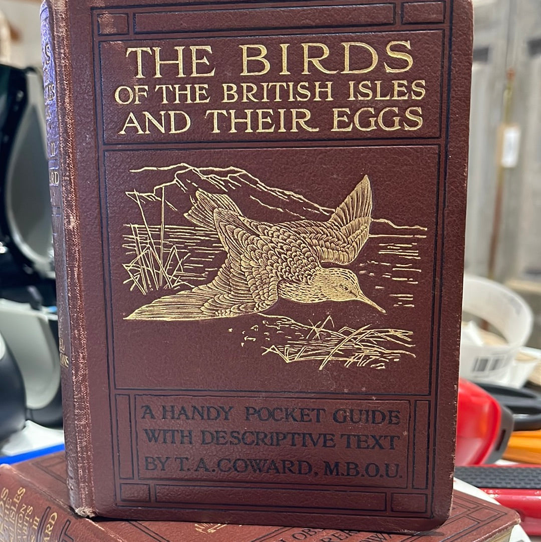The Birds of the British Isles and Their Eggs Series II