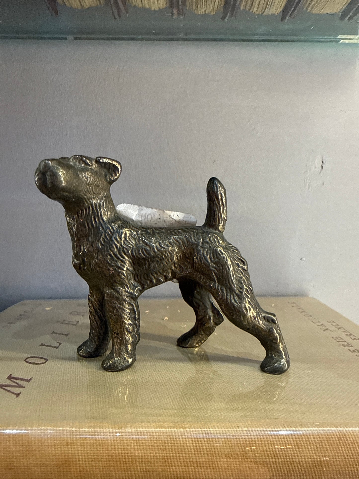 Bronze Terrier