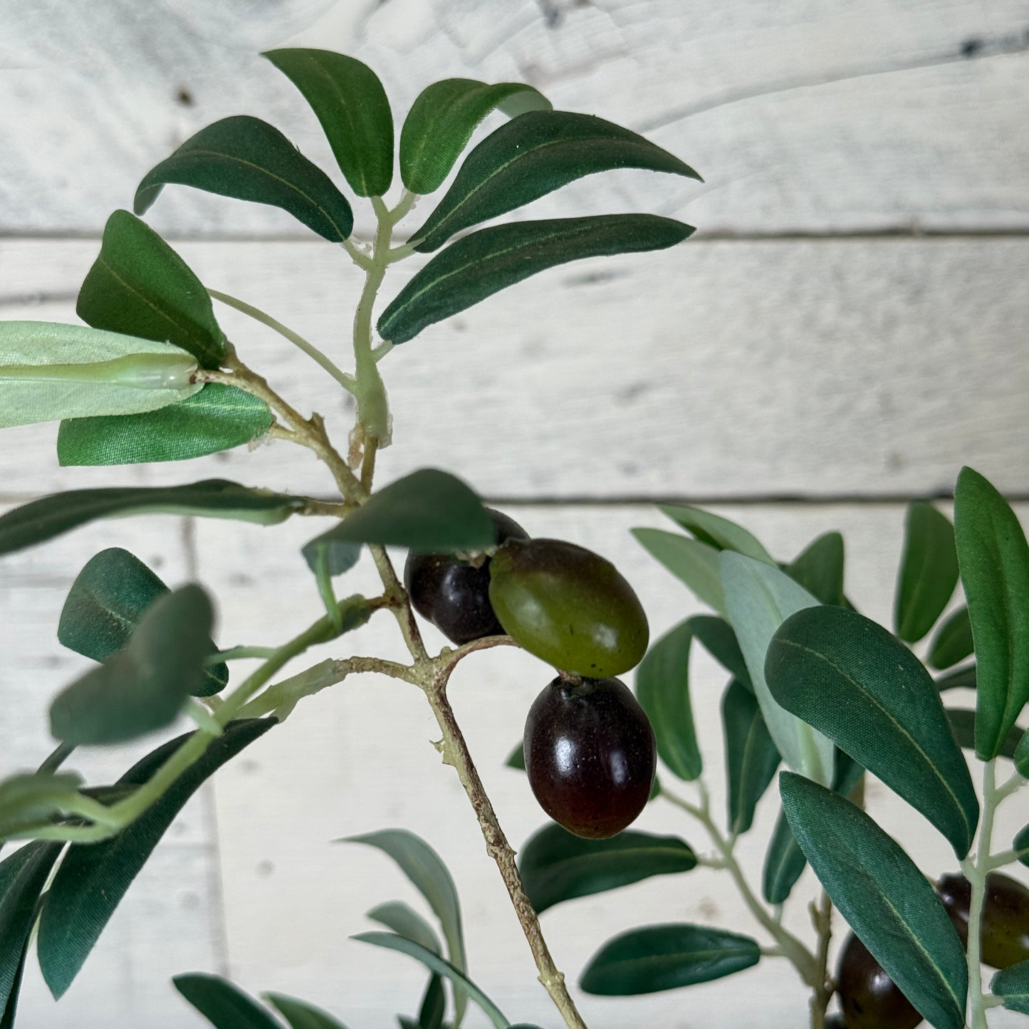 19.5" Faux Olive Tree in Decorative Pot