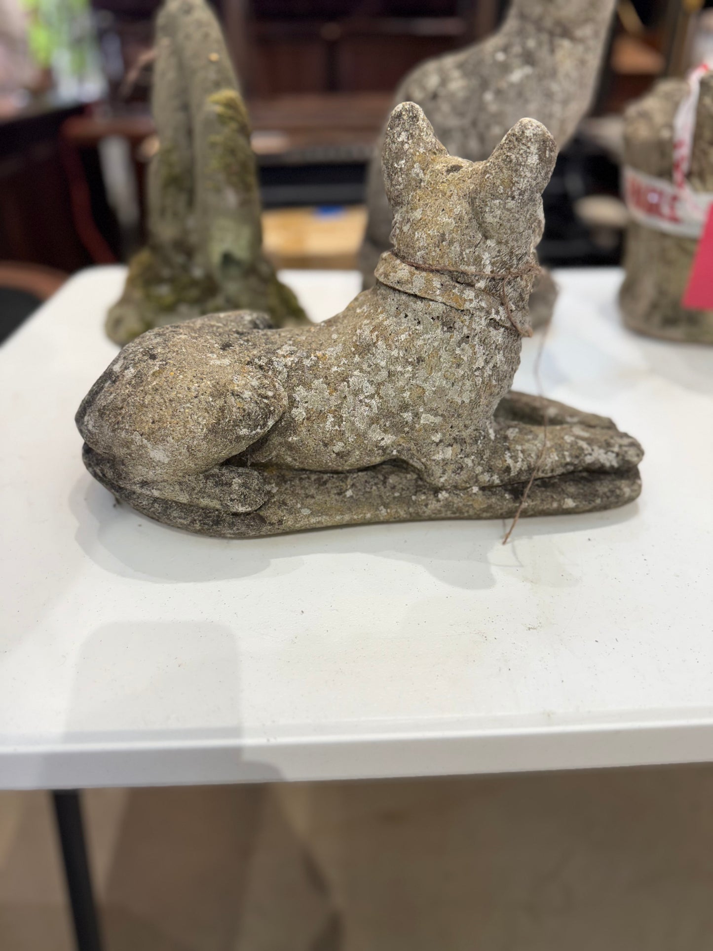 Stone Dog in Repose with Perky Ears