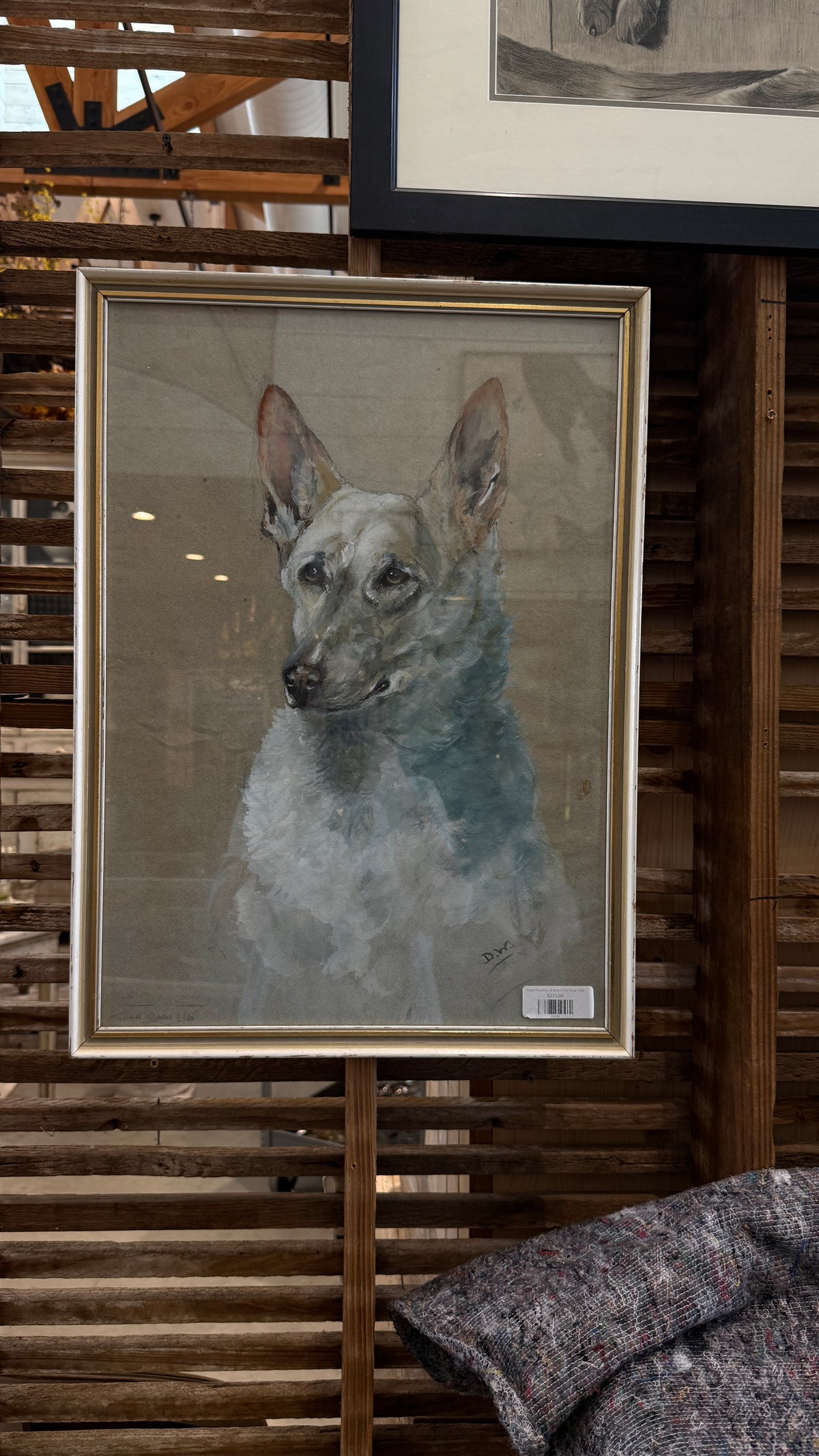 Pastel Drawing of White Dog Circa 1900