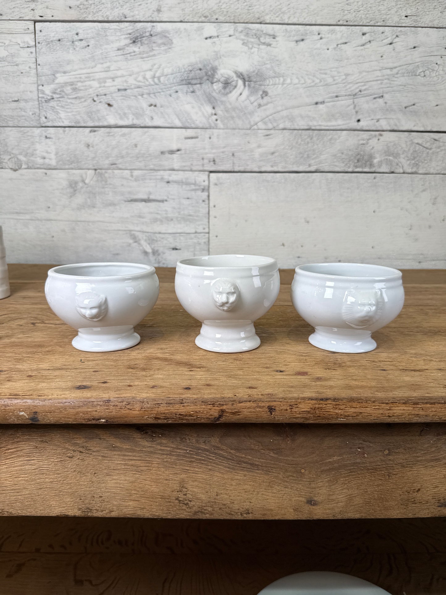 Neoclassical Style White Lion Mascaron Bowl