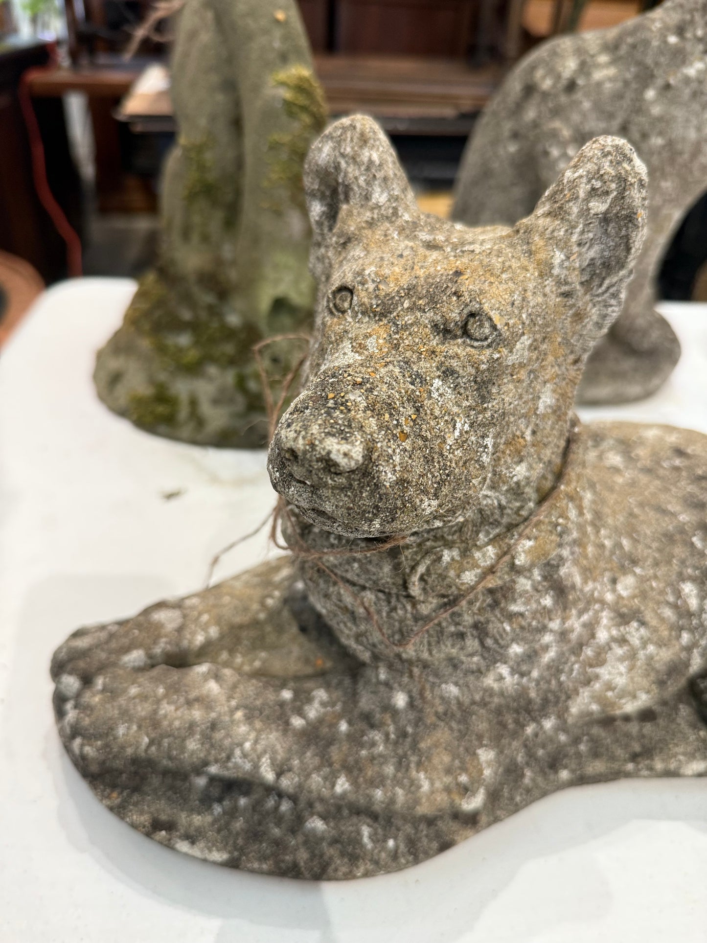 Stone Dog in Repose with Perky Ears