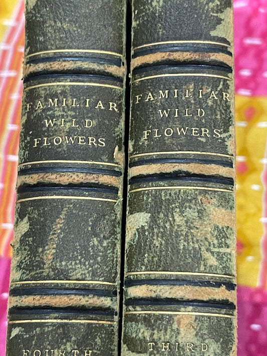Familiar Wildflower Book