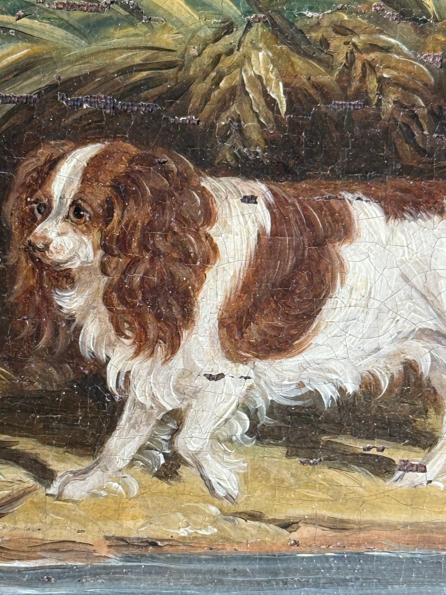 Oil on Board King Charles Spaniel