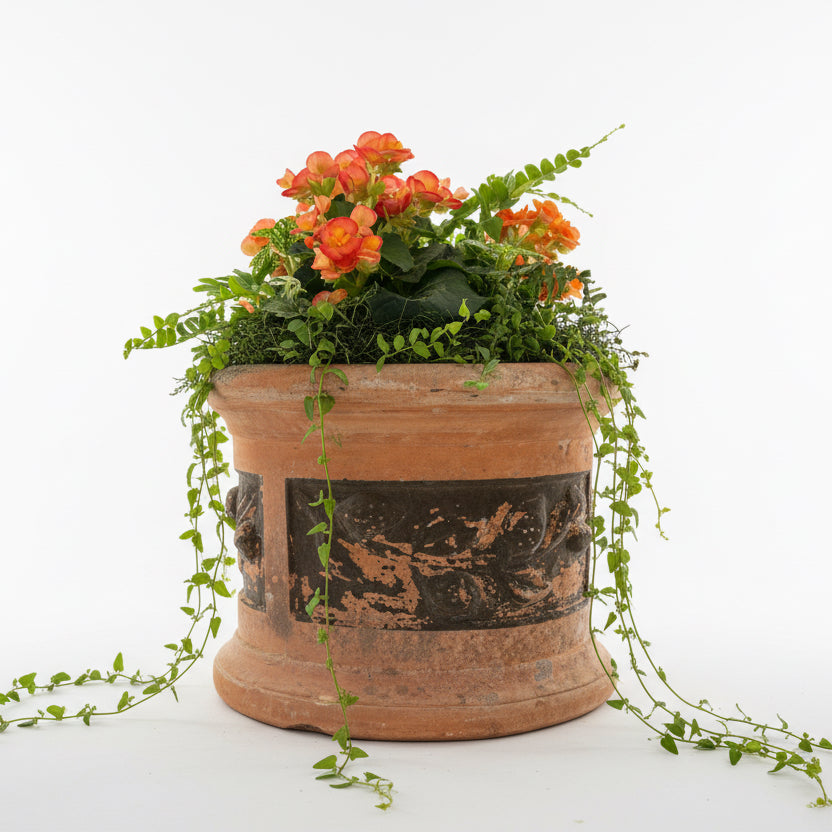 Terracotta Pot With Fruit Design
