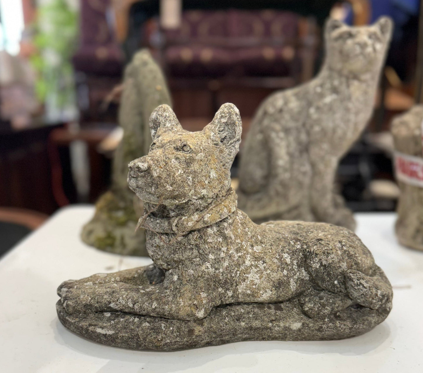 Stone Dog in Repose with Perky Ears