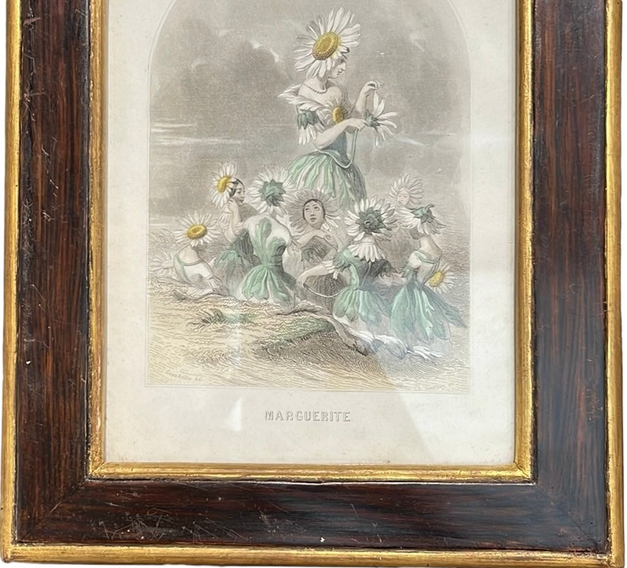 Set of 12 Les Fleurs Animees Lithographsfrom J.J. Grandville SOLD ONLY AS A SET