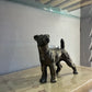 Bronze Terrier