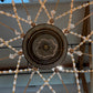 Italian Florentine Giltwood Chandelier with Hand-Carved Tole Details