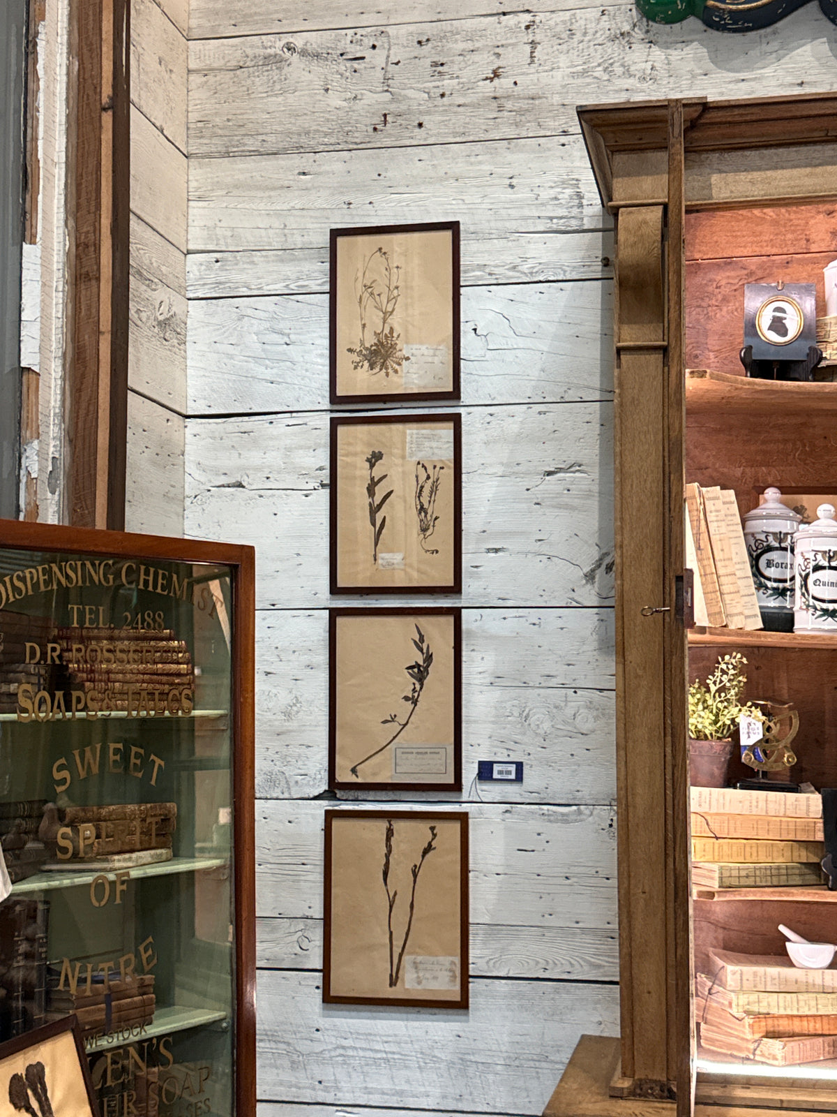 Framed French Botanical