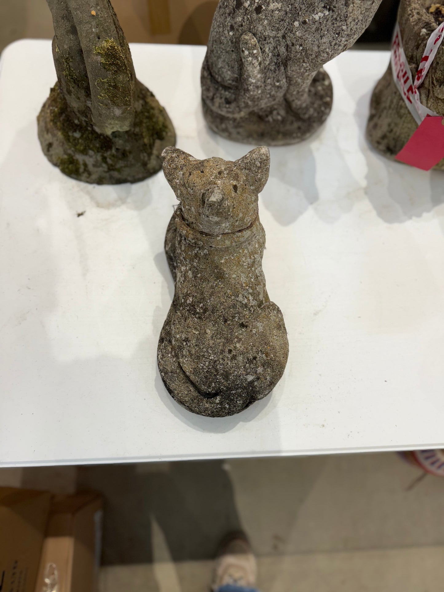 Stone Dog in Repose with Perky Ears