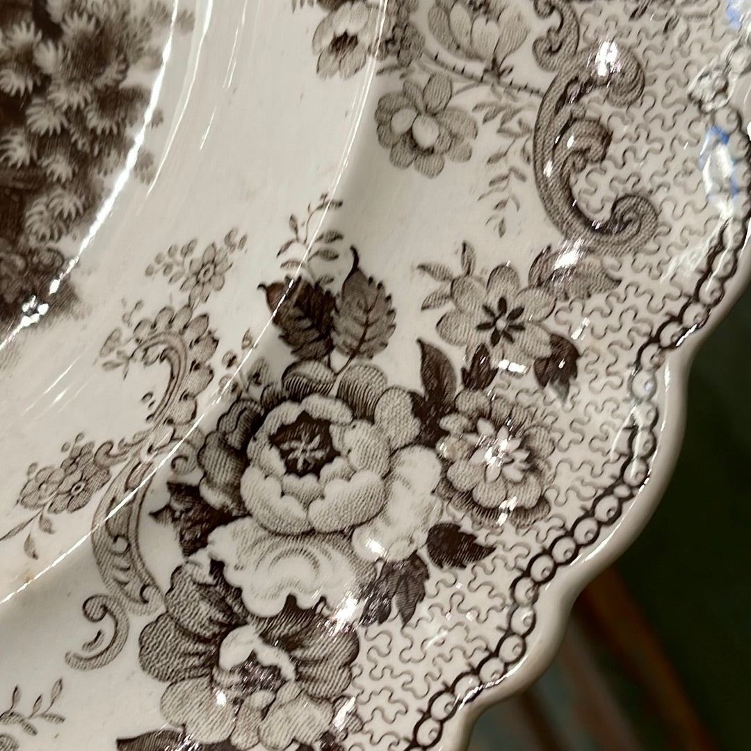 Antique William Adams & Sons “Pomerania” Serving Bowl in Brown From England - Circa 19th Century