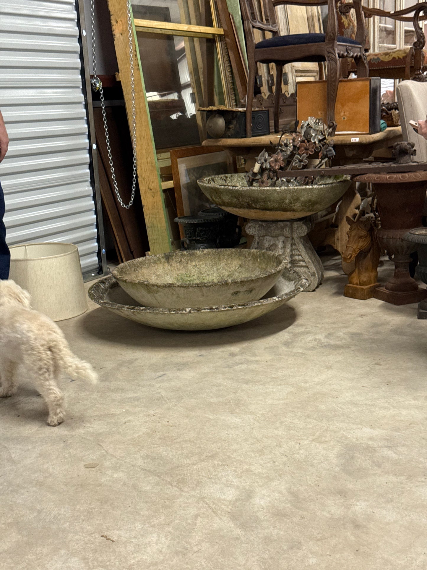 Willy Guhl 31" Saucer Planters