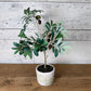 19.5" Faux Olive Tree in Decorative Pot