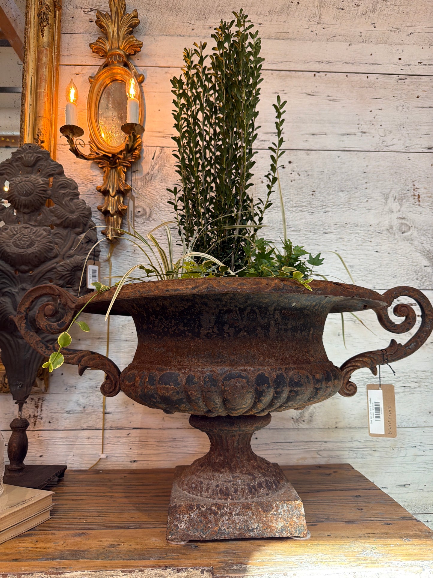 Cast Iron Urn with 2 Handles