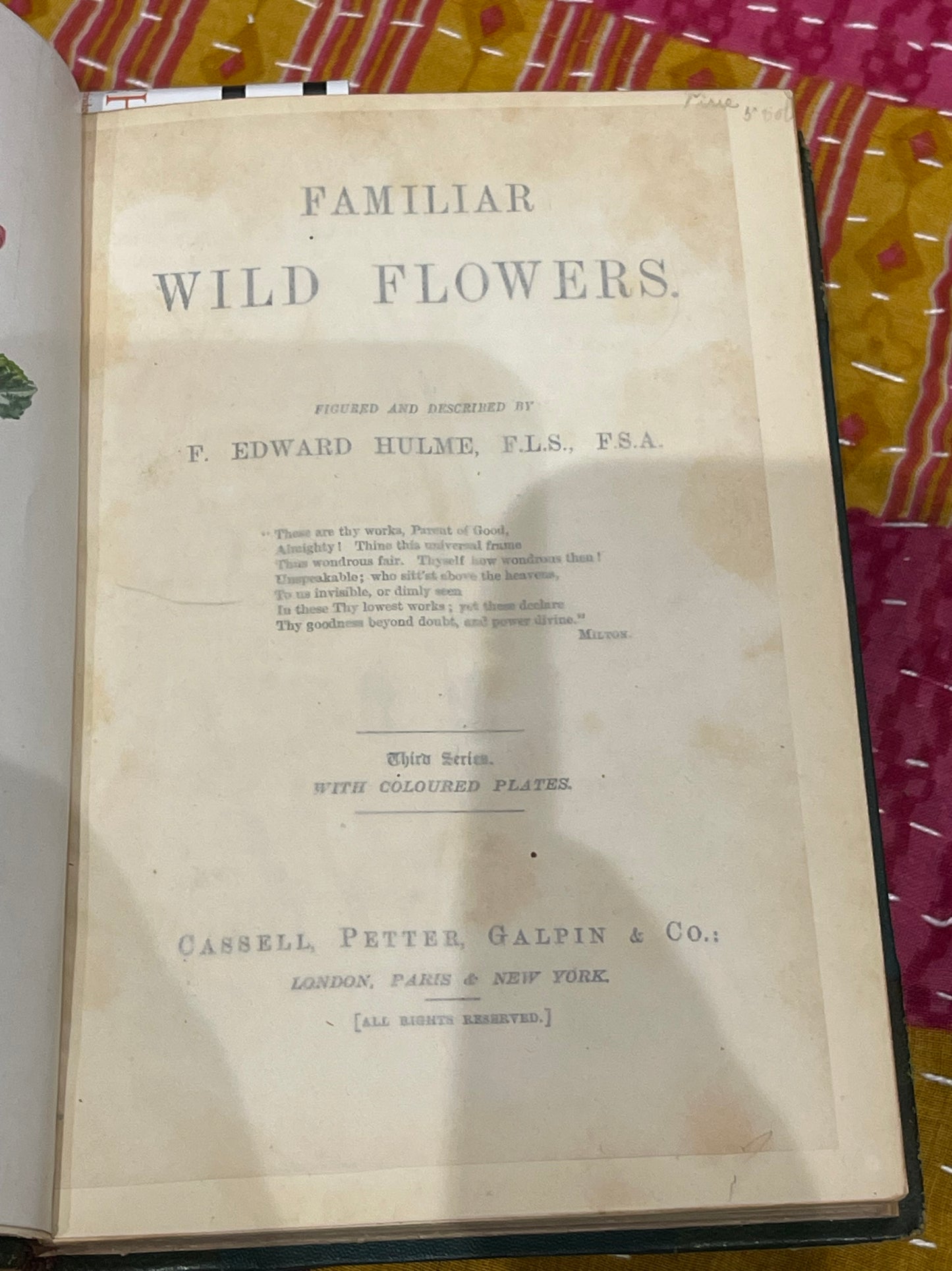 Familiar Wildflower Book