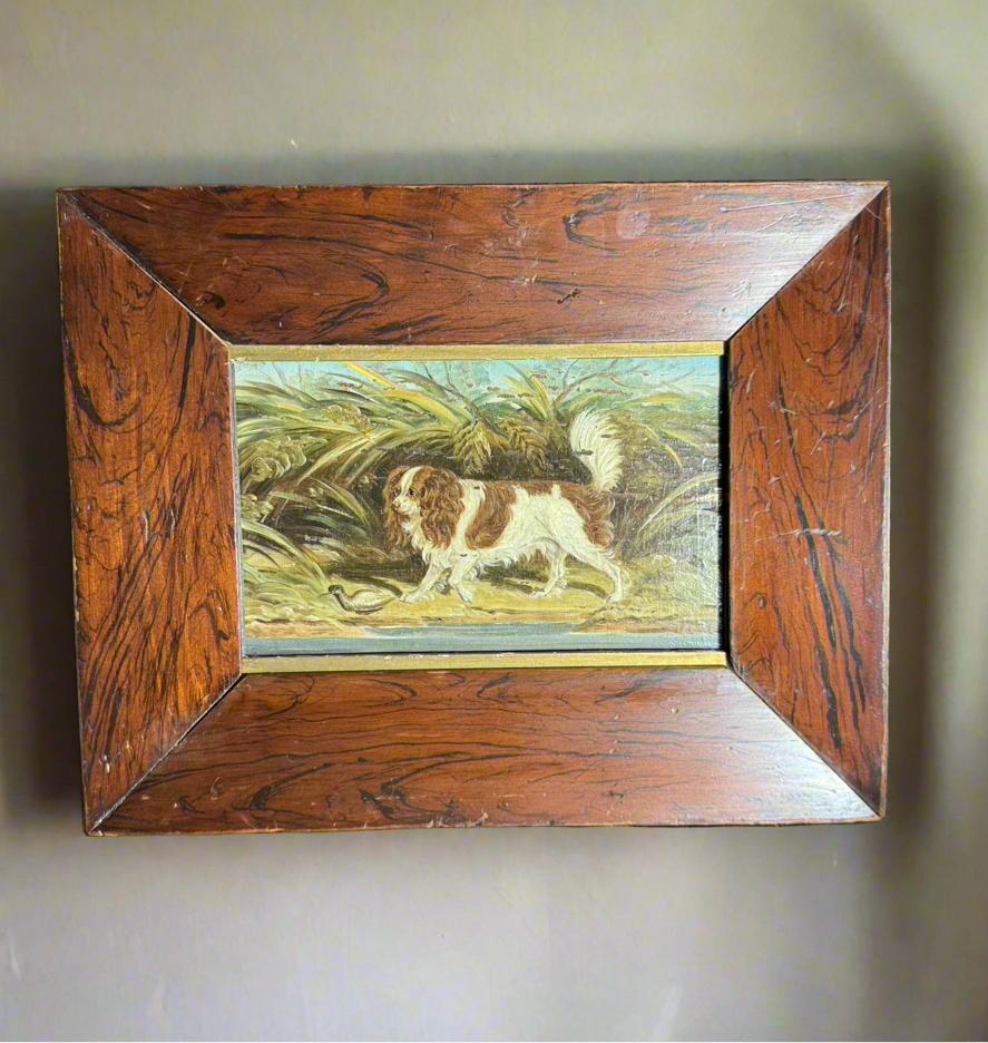 Oil on Board King Charles Spaniel