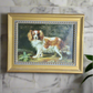 Small European School Oil on Board Signed L. Maher: King Charles Spaniel