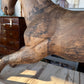 Hand-Carved Spanish Hardwood Horse Sculptures