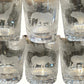MMoser Set of 6 Glasses Safari Etched 1 Animal Per Glass