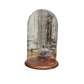 Tall Glass Cloche Dome Bell Jar with Mahogany Base