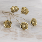 Botanical Gold Poppy Stem