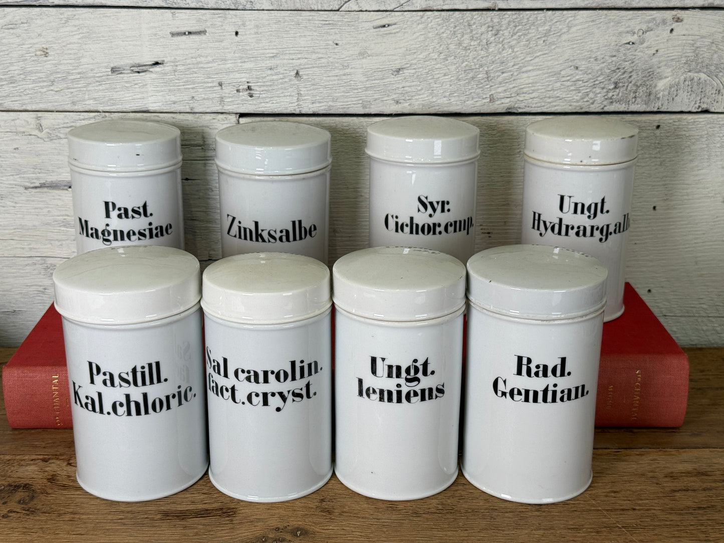 Late 19th to Early 20th Century Continental European Porcelain Apothecary Jars, Set of Ten