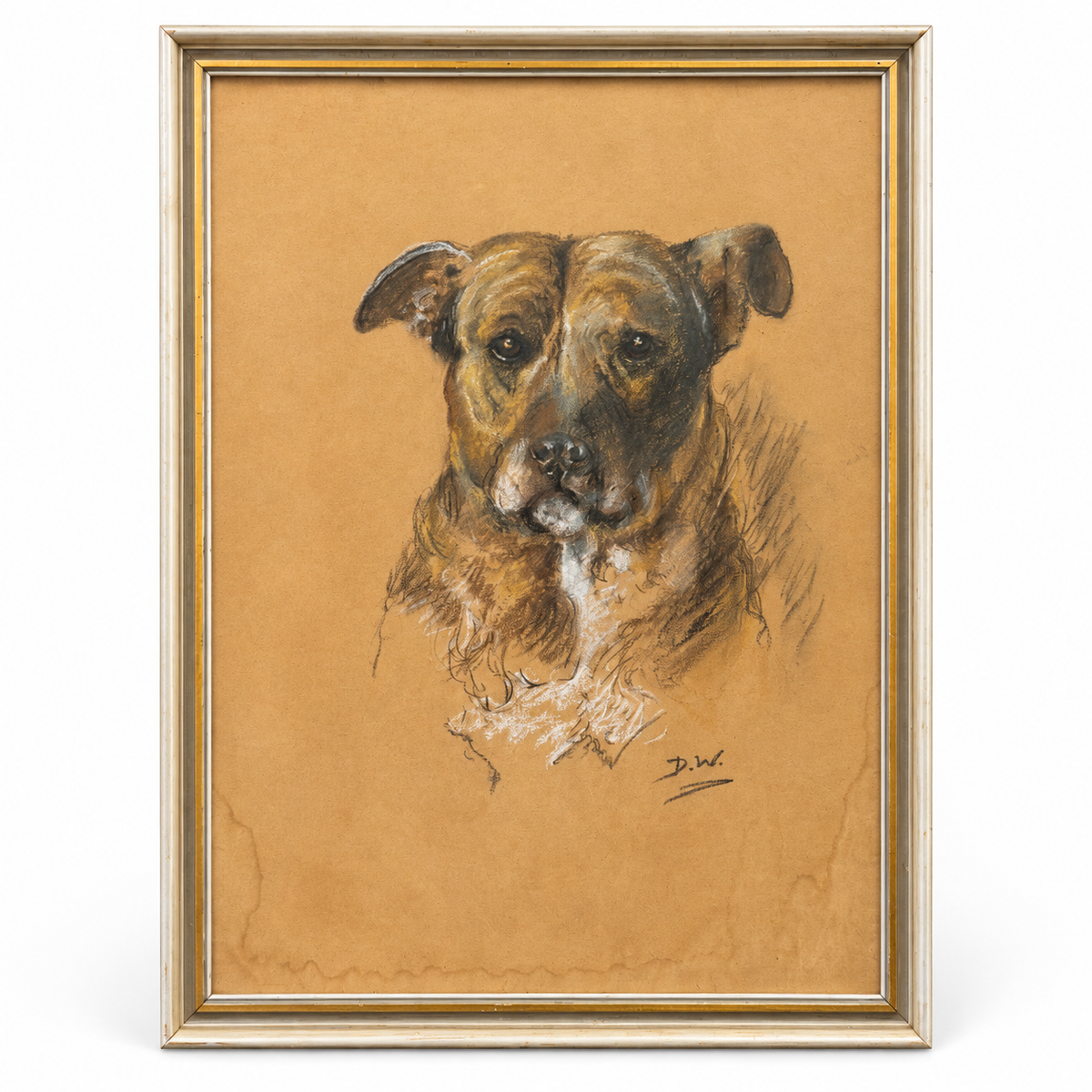 Pastel Drawing of Dog Circa 1900