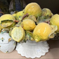 Barbotine Lemons