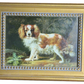 Small European School Oil on Board Signed L. Maher: King Charles Spaniel on a white background