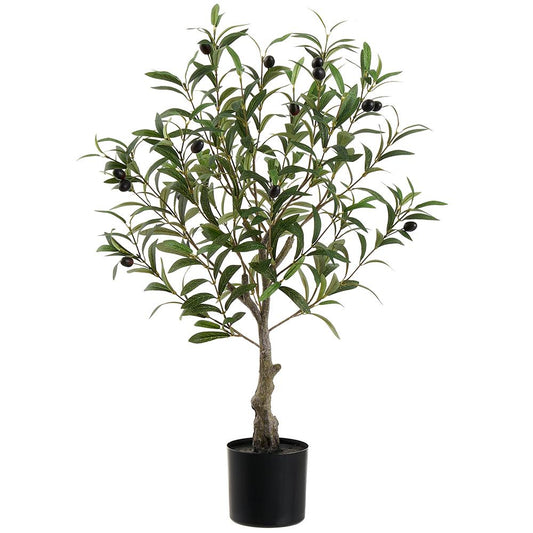 28"Olive Tree in Plastic Pot
