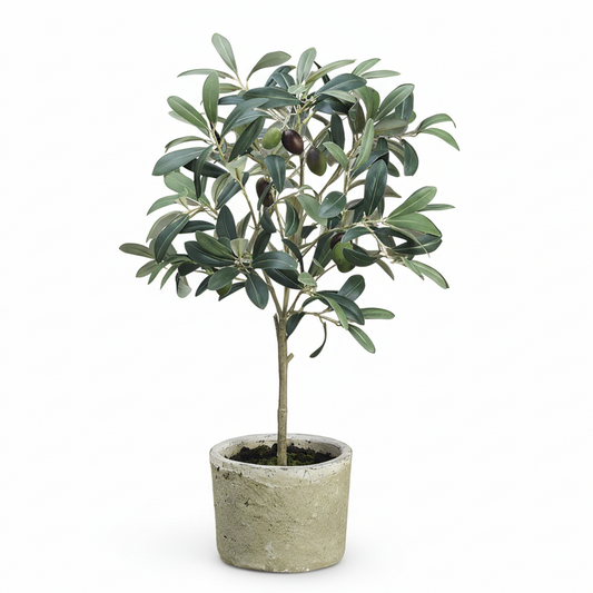 19.5" Faux Olive Tree in Decorative Pot