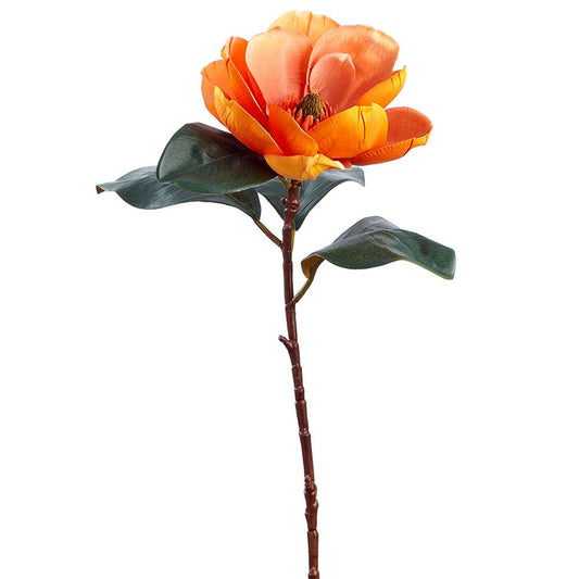 29" Harvest Magnolia Spray Light Rust