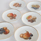 Set of 6 Bavarian Fruit Plates c.1870