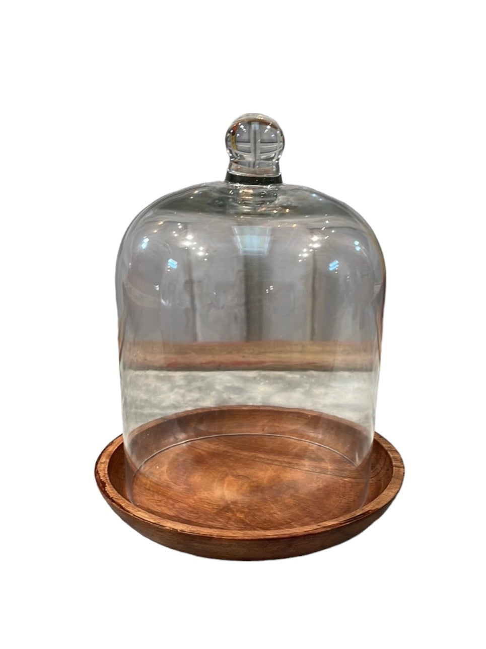 Glass Cloche and Coaster Set