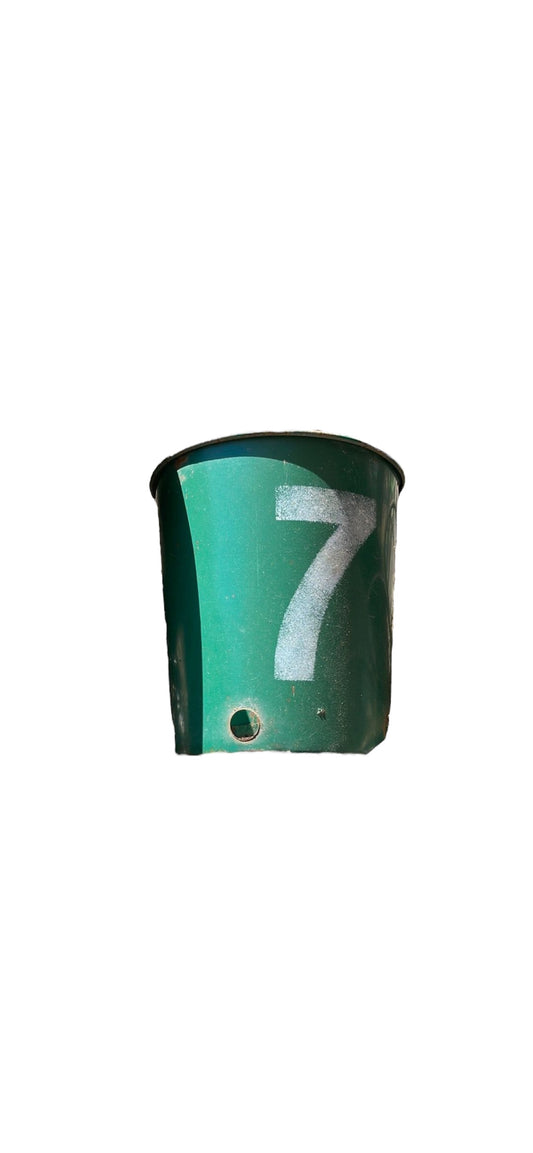 Green Numbered Gardening Pot