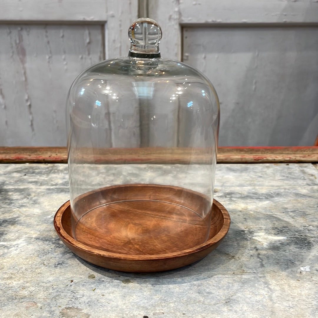 Glass Cloche and Coaster Set