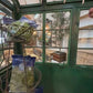 Petite French Garden Conservatory – Custom Iron & Glass Showpiece